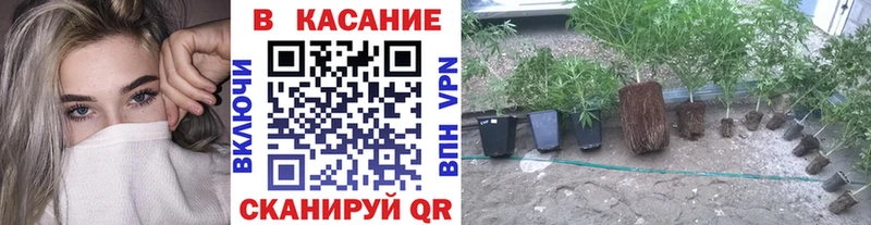 Сколько стоит Прохладный КЕТАМИН  Амфетамин  Alpha PVP  Марихуана  Меф  КОКАИН  ГАШ 