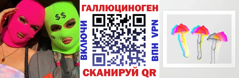 где найти   Прохладный  omg рабочий сайт  Псилоцибиновые грибы Psilocybe 