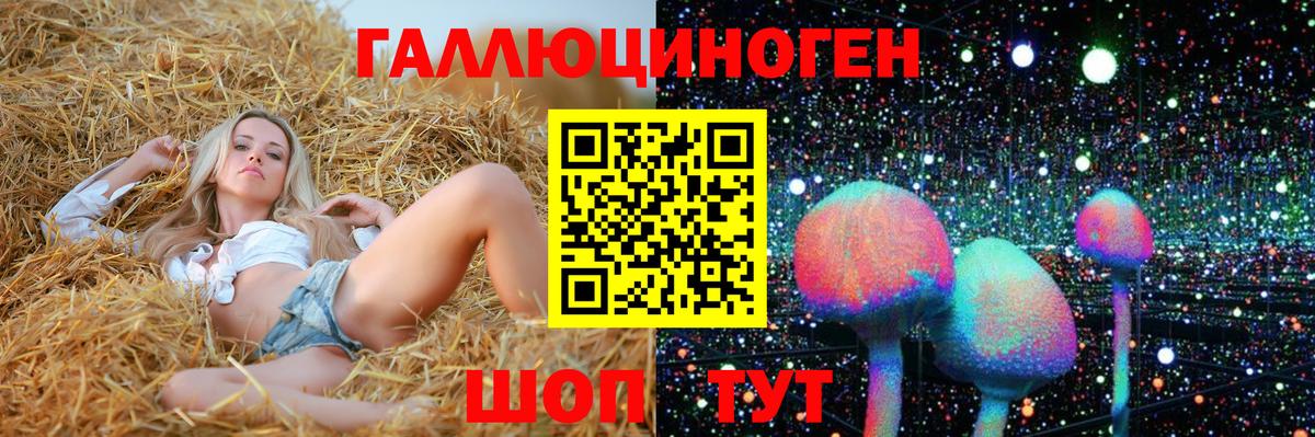 Псилоцибиновые грибы GOLDEN TEACHER  Прохладный 