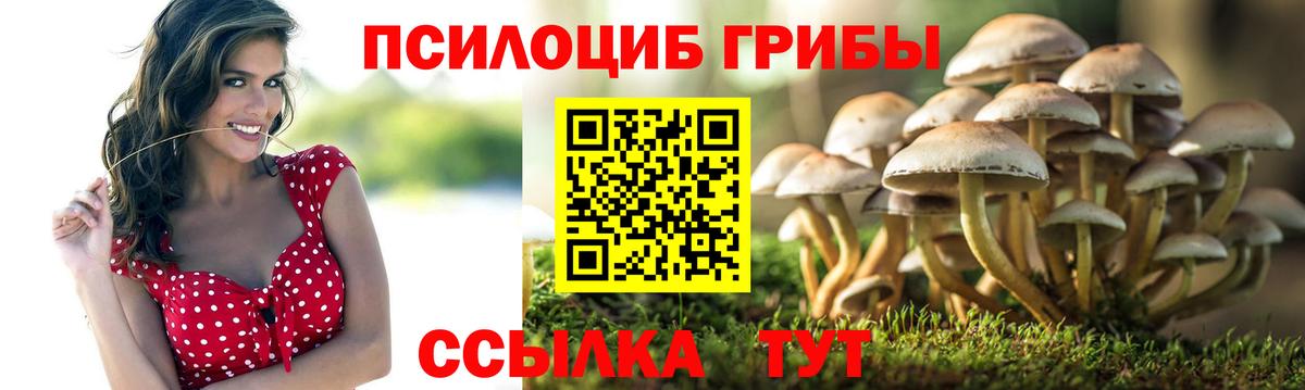 Псилоцибиновые грибы MAGIC MUSHROOMS  Вход с VPN  Прохладный 